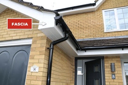fascia